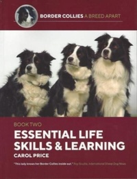 Enlarge image Cover: Life Skills and Learning - First Stone Publishing