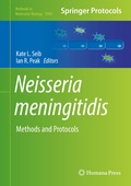 Bild: Neisseria meningitidis - Humana