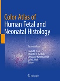 Bild: Color Atlas of Human Fetal and Neonatal Histology - Springer