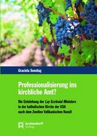 Abbildung von: Professionalisierung ins kirchliche Amt? - Aschendorff