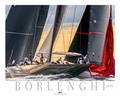 Cover: Carlo Borlenghi 2020 - Delius Klasing