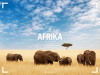 Abbildung von: Afrika - Ackermann Gallery 2020 - Ackermann Kunstverlag
