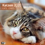 Bild: Katzen 2020 - Ackermann Kunstverlag