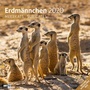 Bild: Erdmännchen 2020 - Ackermann Kunstverlag