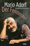 Cover: Der Fenstersturz - Kiepenheuer & Witsch