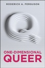 Cover: One-Dimensional Queer - Wiley