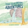 Cover: Teddy Bear Dreams - Palmetto Publishing Group