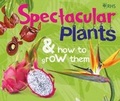 Cover: RHS Spectacular Plants and how to grow them - Wild Nature Press