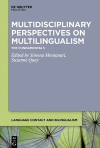 Abbildung von: Multidisciplinary Perspectives on Multilingualism - De Gruyter Mouton