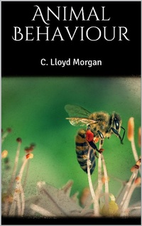 Enlarge image Cover: Animal Behaviour - Books on Demand