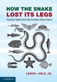 Abbildung von: How the Snake Lost its Legs - Cambridge University Press
