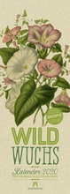 Cover: Wildwuchs - Botanische Illustrationen - Graspapier-Kalender 2020 - Ackermann Kunstverlag