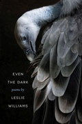 Cover: Even the Dark - Southern Illinois University Press