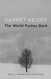 Enlarge image Cover: The World Pushes Back - Texas Review Press