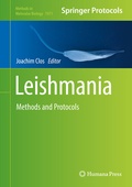 Bild: Leishmania - Humana