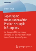 Abbildung von: Topographic Organization of the Pectine Neuropils in Scorpions - Springer Spektrum