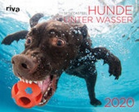 Abbildung von: Hunde unter Wasser 2020 - Riva
