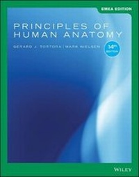 Enlarge image Cover: Principles of Human Anatomy, EMEA Edition - Wiley