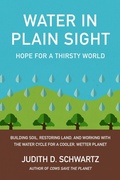 Cover: Water in Plain Sight - Chelsea Green Publishing Co