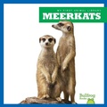 Cover: Meerkats - Bullfrog Books
