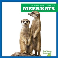 Enlarge image Cover: Meerkats - Bullfrog Books