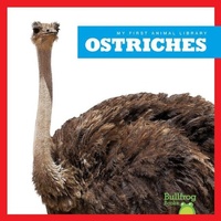 Enlarge image Cover: Ostriches - Bullfrog Books