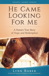 Abbildung von: He Came Looking for Me - Lynn Baber