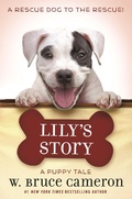 Cover: Lily's Story - Starscape