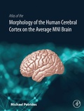 Bild: Atlas of the Morphology of the Human Cerebral Cortex on the Average MNI Brain - Academic Press