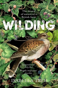 Abbildung von: Wilding - Picador