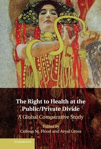 Enlarge image Cover: The Right to Health at the Public/Private Divide - Cambridge University Press