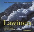 Cover: Lawinen - Birkh&auml;user