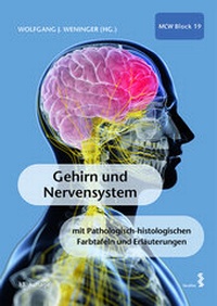 Abbildung von: Gehirn und Nervensystem - Facultas