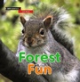 Cover: Let's Read: Forest Fun - Words & Pictures