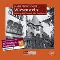 Cover: Wiesenstein - H&ouml;rkultur Verlag AG