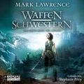Cover: Waffenschwestern - Ronin-H&ouml;rverlag, ein Imprint von Omondi GmbH