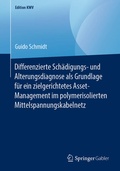 Cover: Differenzierte Sch&auml;digungs- und Alterungsdiagnose als Grundlage f&uuml;r ein zielgerichtetes Asset-Management im polymerisolierten Mittelspannungskabelnetz - Springer Gabler