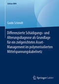 Cover: Differenzierte Sch&auml;digungs- und Alterungsdiagnose als Grundlage f&uuml;r ein zielgerichtetes Asset-Management im polymerisolierten Mittelspannungskabelnetz - Springer Gabler