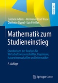 Cover: Mathematik zum Studieneinstieg - Springer Gabler