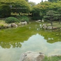 Cover: Haiku Versuche - Books on Demand