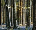 Cover: Waldspaziergang 2020 - Fotokunst-Kalender - Querformat 58,4 x 48,5 cm - Spiralbindung - DuMont Kalenderverlag