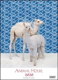 Cover: Animal House Kalender 2020 - DUMONT Tier-Kalender - Foto-Kunst - Poster-Format 49,5 x 68,5 cm - DuMont Kalenderverlag