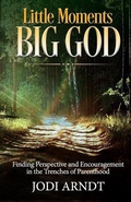 Cover: Little Moments Big God - Jodi Arndt