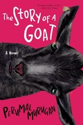 Cover: The Story of a Goat - Black Cat