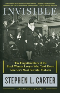 Enlarge image Cover: Invisible - Picador USA