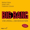 Cover: Big Bang: Vom Urknall zum Bewusstsein - mvg