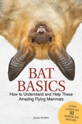 Cover: Bat Basics - Adventure Publications, Incorporated