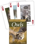 Cover: Owls Playing Cards - Adventure Publications, Incorporated