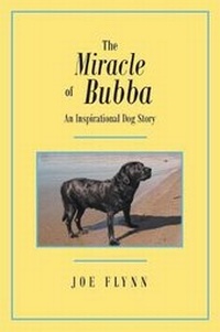 Enlarge image Cover: The Miracle of Bubba - Page Publishing Inc.