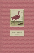 Cover: Hatred of Translation - Nightboat Books